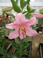 [5576 VH06 No02.JPG]